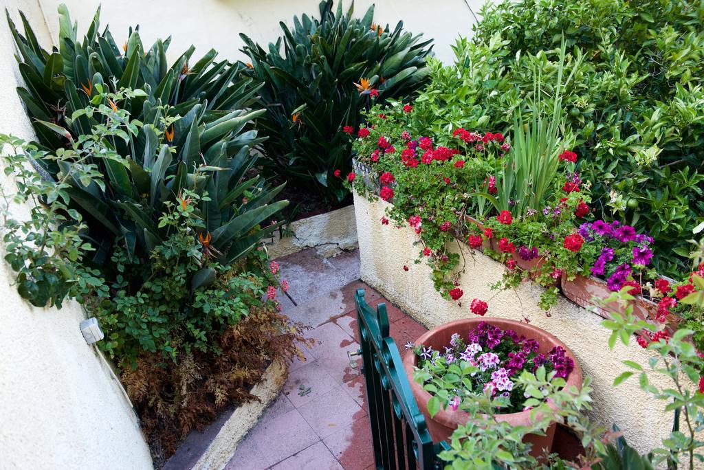 فيغا دي سان ماتيو Casa Rural De Tio Felix المظهر الخارجي الصورة